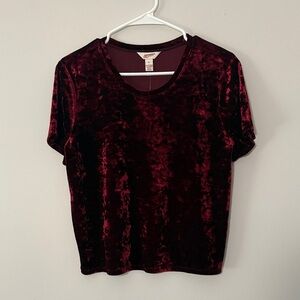 Arizona Jean Company Women's Short Sleeve Velvet Top - Burgundy